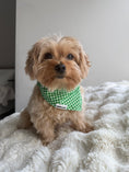 Load image into Gallery viewer, Close-up detail of Clover Green gingham check pattern — soft breathable cotton bandana by Paw Theory Pets
