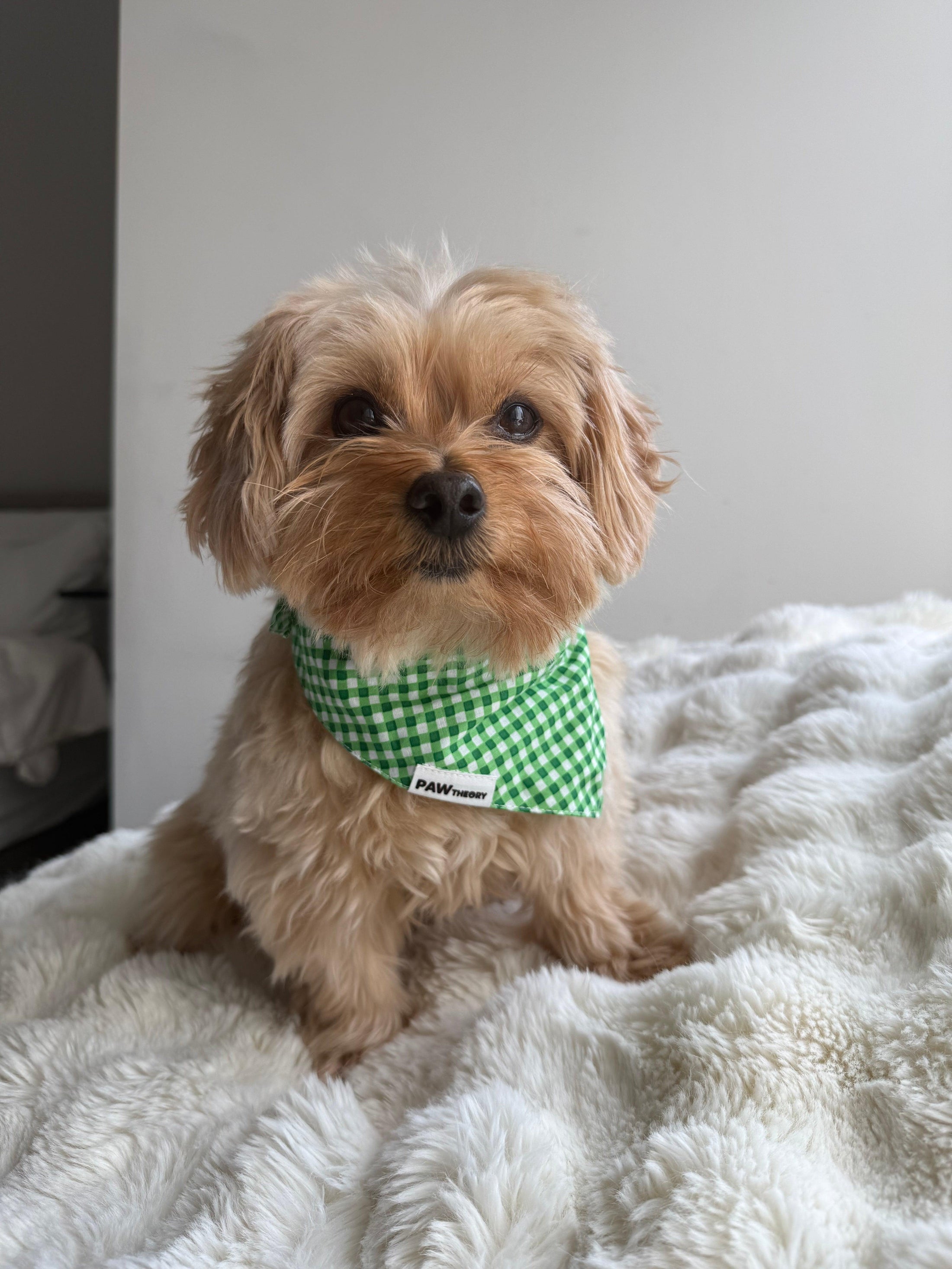 Close-up detail of Clover Green gingham check pattern — soft breathable cotton bandana by Paw Theory Pets