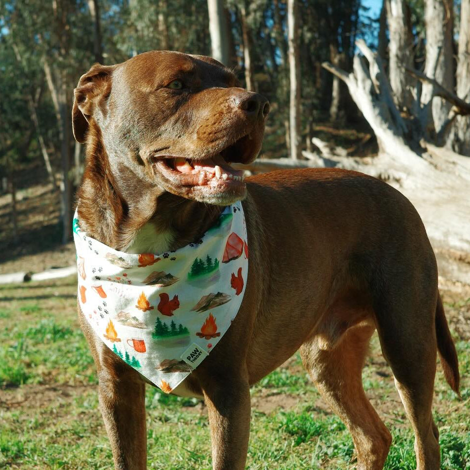 Wander Dog Bandana