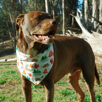 Wander Dog Bandana
