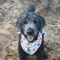 Load image into Gallery viewer, Wander Dog Bandana
