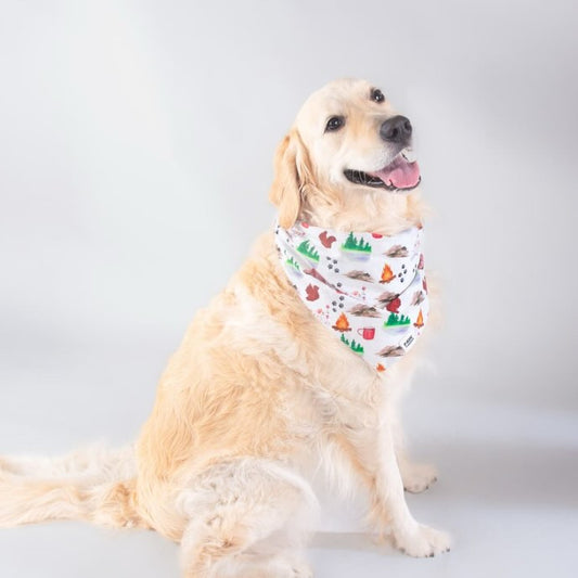 Wander Dog Bandana