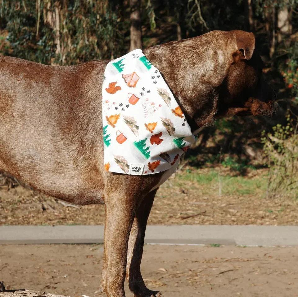 Brown dog wearing a white bandana with camping print featuring tents, trees, and paw prints