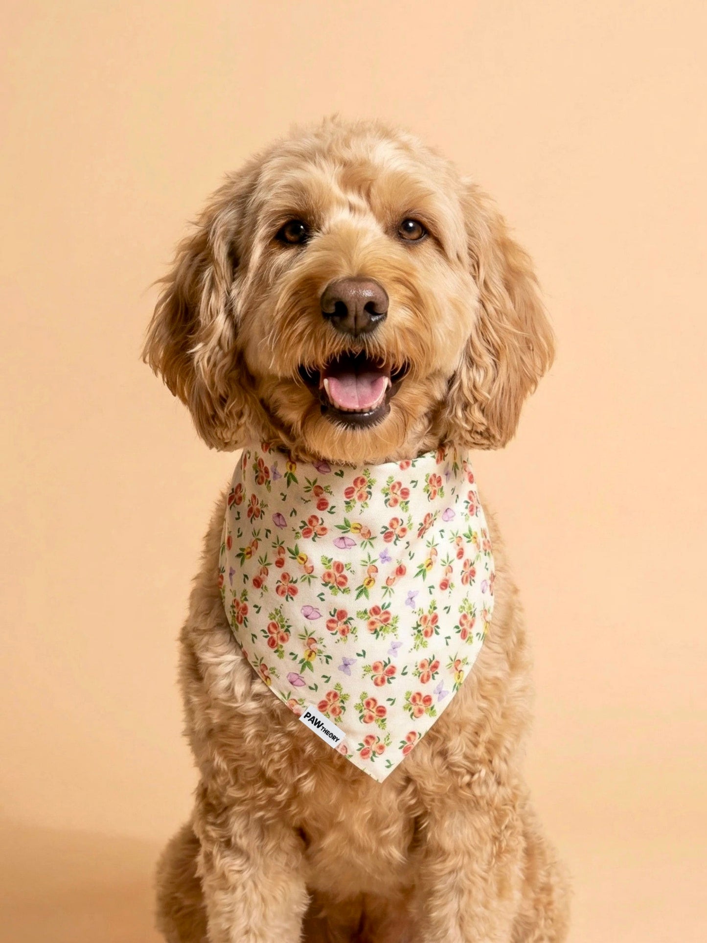 Momo “Peach” Dog Bandana
