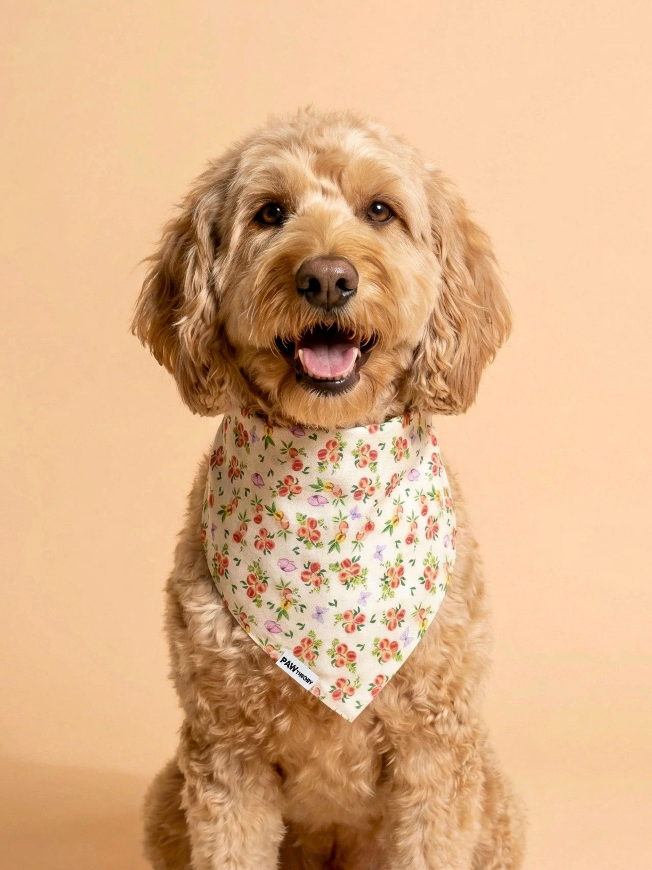 Close-up detail of Momo Peach dog bandana fabric — soft sun-washed peach and floral print by Paw Theory Pets