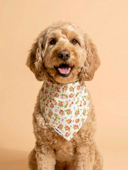 Momo “Peach” Dog Bandana