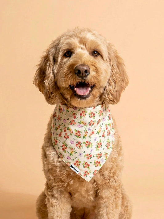 Momo “Peach” Dog Bandana