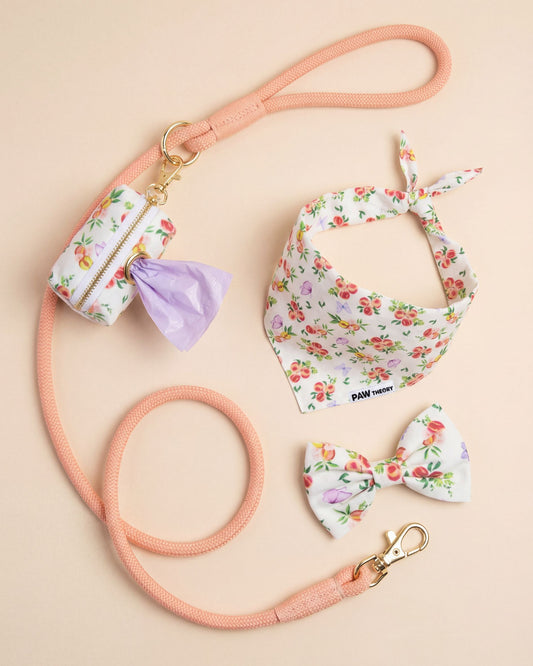 Dog leash, bandana, and bow tie set with floral peach asthetic pattern on a beige background