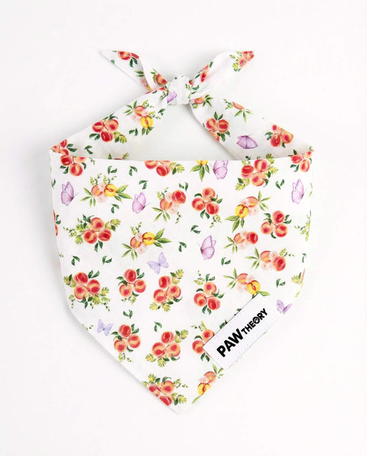 Momo “Peach” Dog Bandana