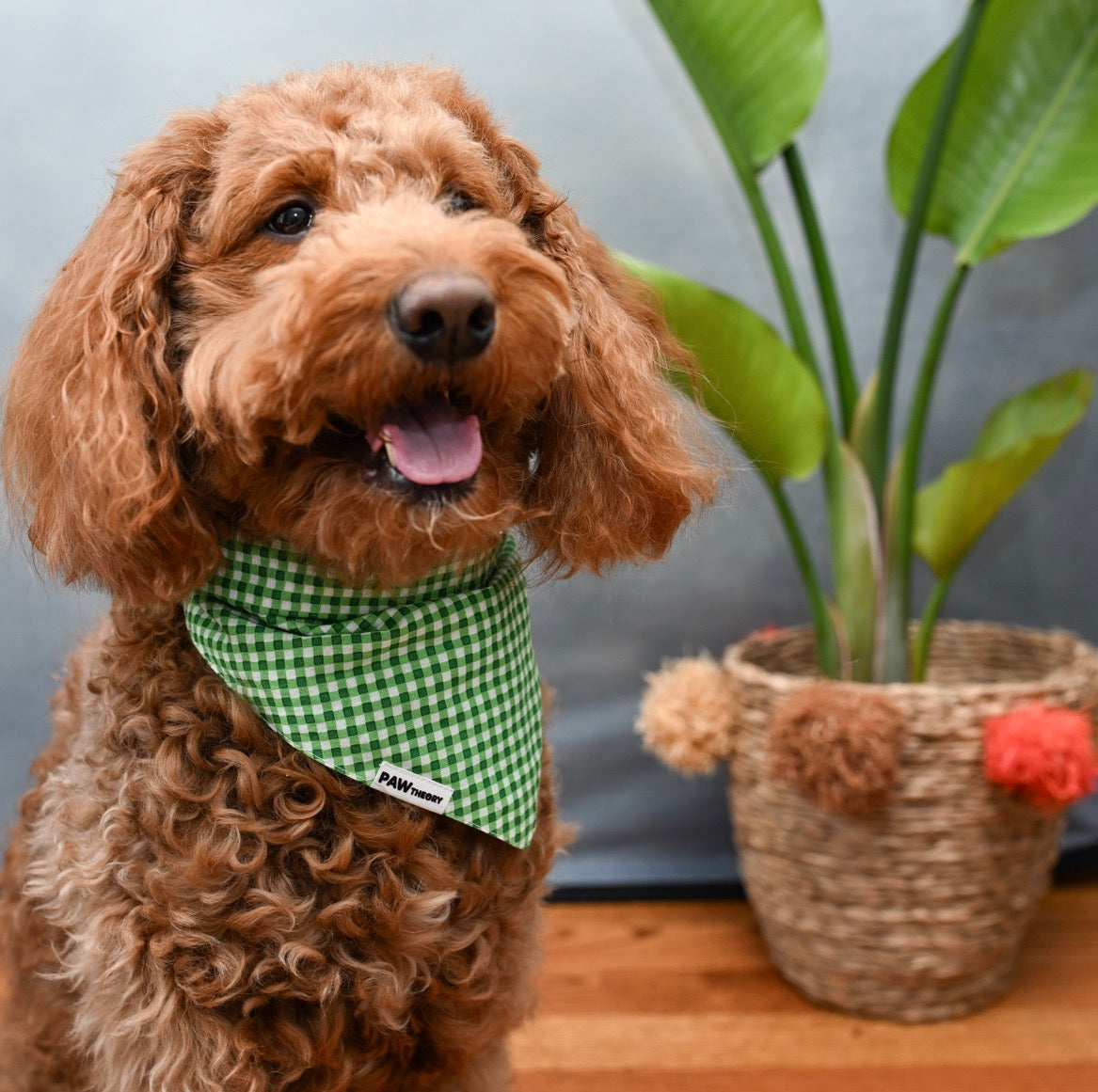 Gingham Dog Bandana in Clover Green