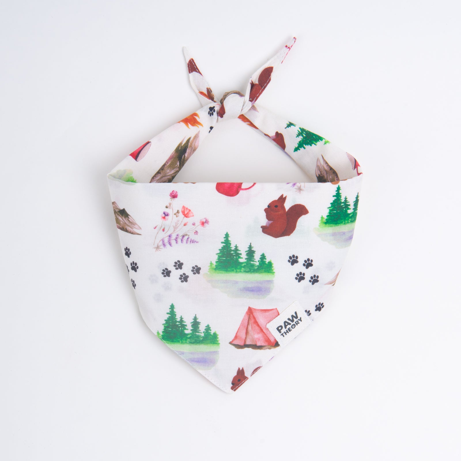 Wander Dog Bandana