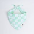 Load image into Gallery viewer, Sage Green Checkered Dog Bandana
