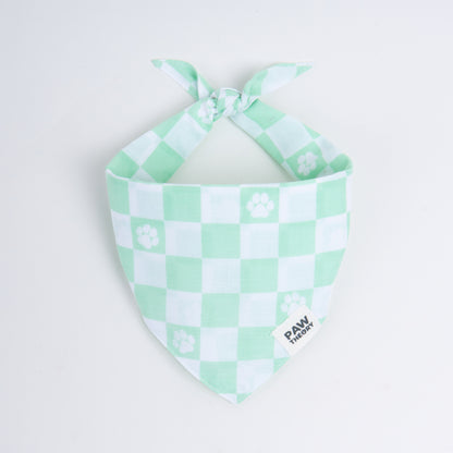 Sage Green Checkered Dog Bandana