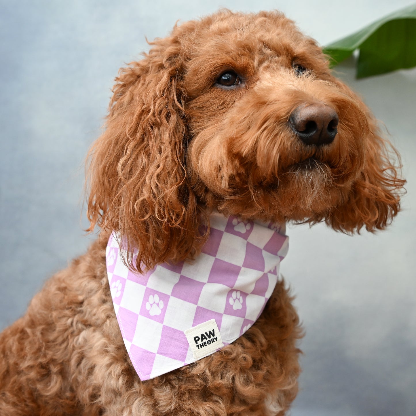 Lilac Checkered Dog Bandana