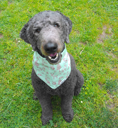 Paw Theory X Sophia Lee Art Forest Dweller Dog Bandana