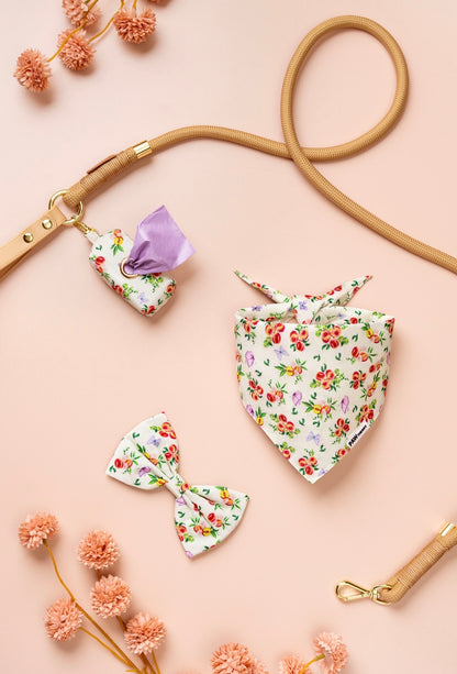 Momo Peach Set
