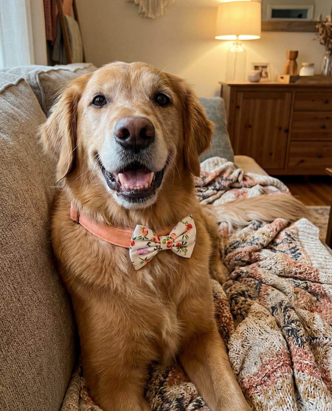 Momo Peach Dog Bowtie