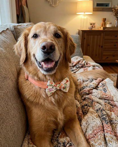Momo Peach Dog Bowtie