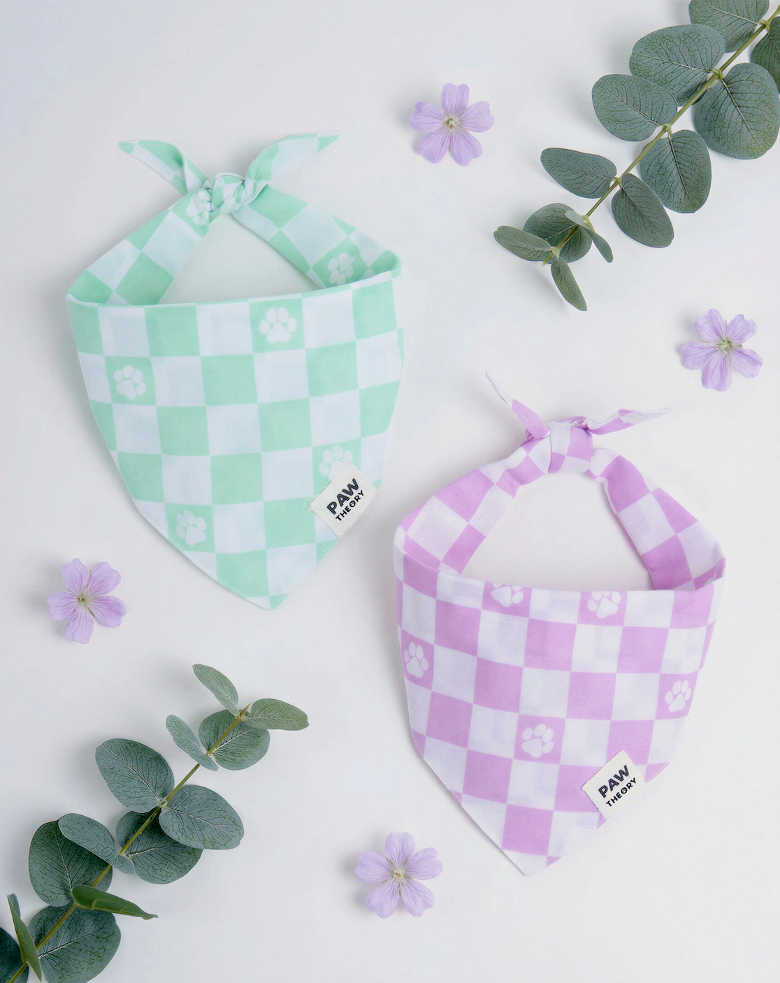 Cute in Checkers Pack