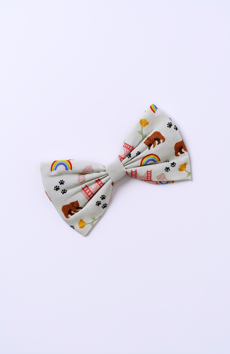 California Pride Set contents — dog bandana, bowtie, and waste bag holder in mint green California print