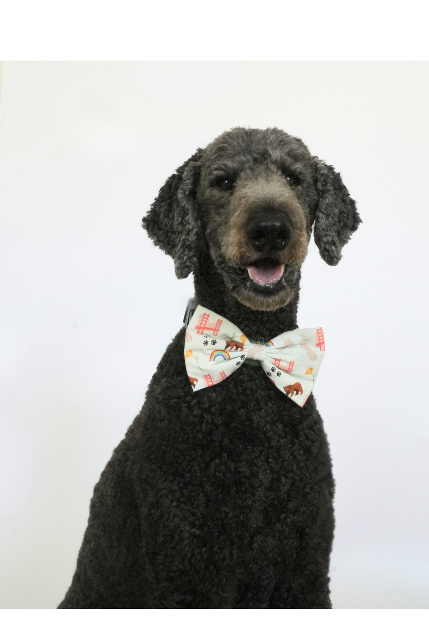 California Pride dog bowtie by Paw Theory Pets — mint green print with bears, poppies, and rainbows