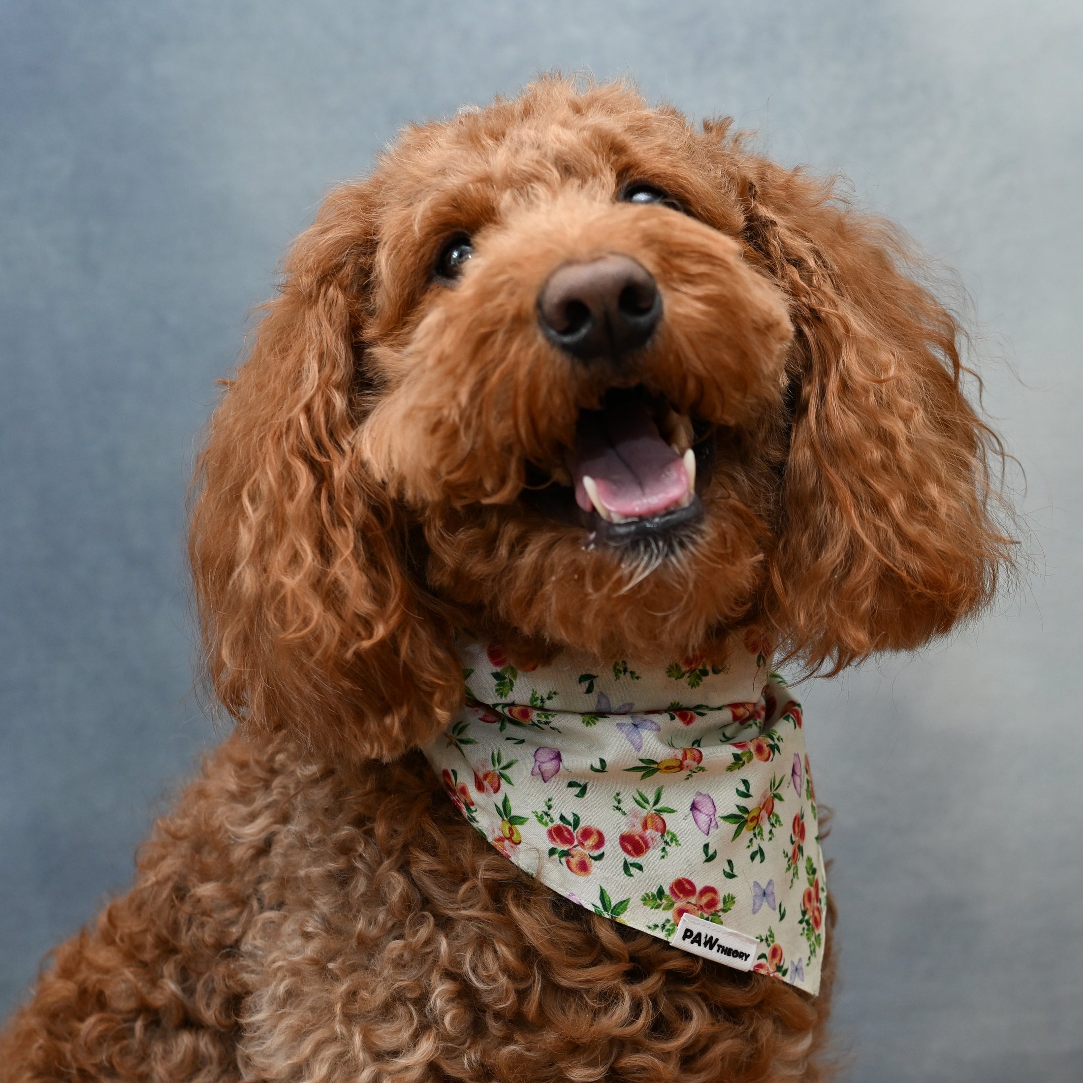 Momo “Peach” Dog Bandana